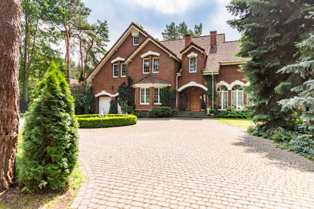 Best Driveway Pavers Contractor  in Hollywood Park, TX